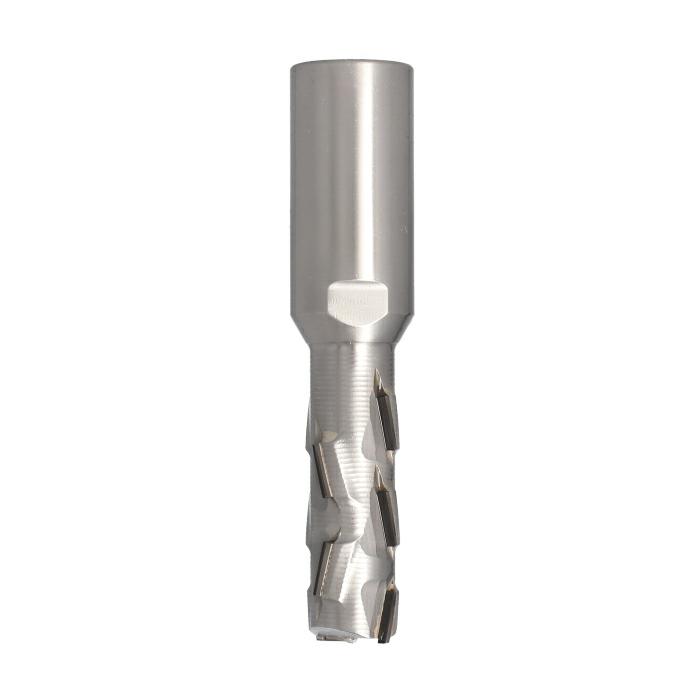 DTL Diamantová fréza Z2+2 PRO (D=20mm; I=48mm; L=115mm; S=25mm; H=2,5mm) RH
